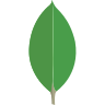 Angular Logo